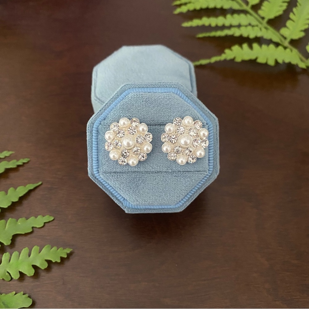 Sparkly Earrings